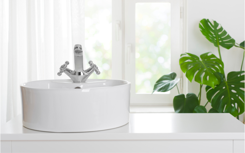 En hvit vask på en hvit benk med en plante bak